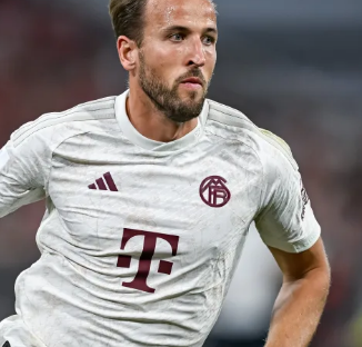 且违约金条 且违约金条