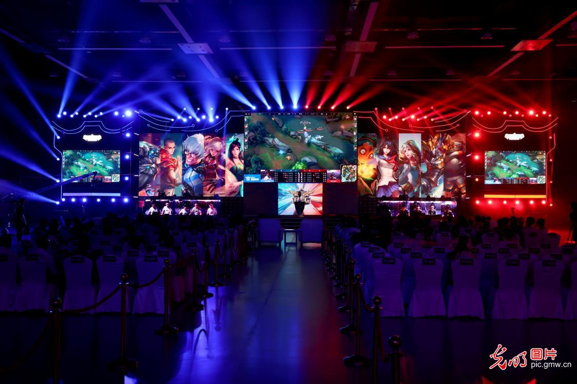 价格与适配 价格与适配